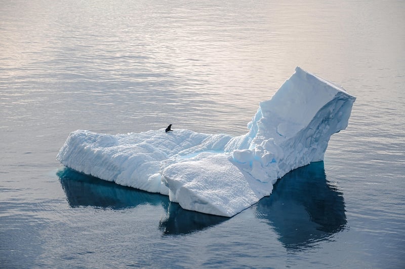 Antarctica Expedition